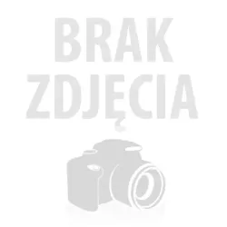 Wynajem - Akumulatorowa młotowiertarka Parkside 3J Performance (4Ah)