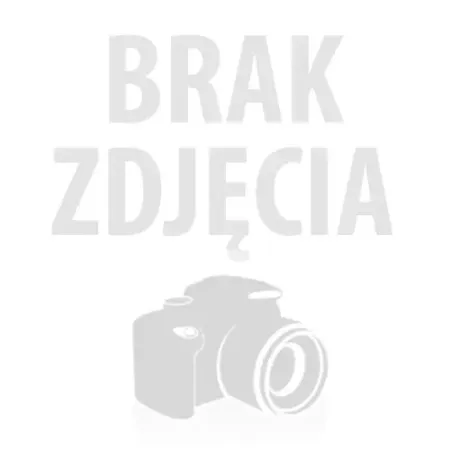 Wynajem - Akumulatorowa młotowiertarka Parkside 3J Performance (4Ah)